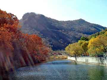 澳门二四六天天彩图库，重生鲲鹏